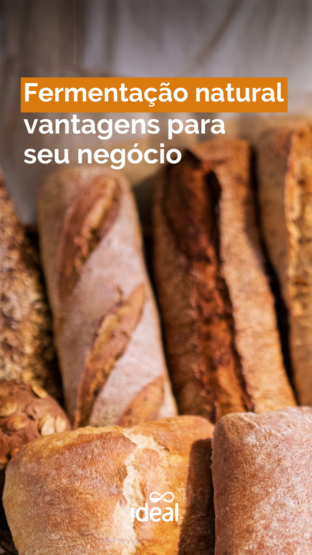 Imagem post Fermentação natural: vantagens para seu negócio